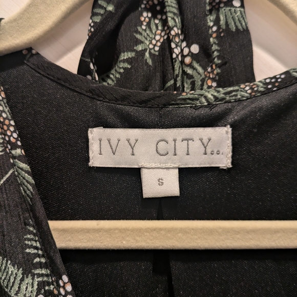 Ivy City Co Holly Berry Dress *BUNDLE* - Picture 4 of 8